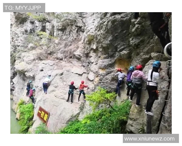 北京攀岩队团队协作模式深度解析与其他队伍的对比研究